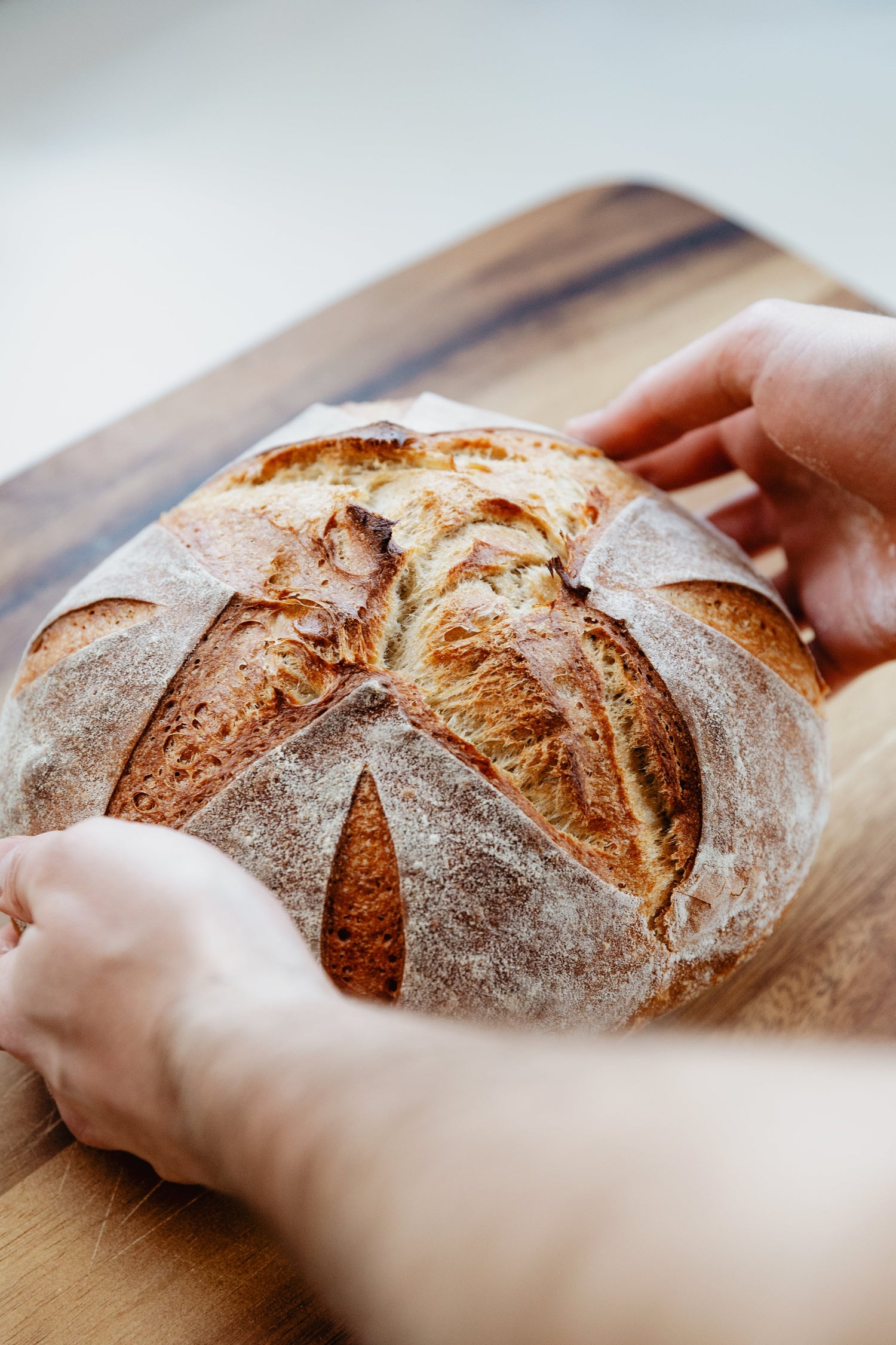 BROOD GEREEDSCHAP